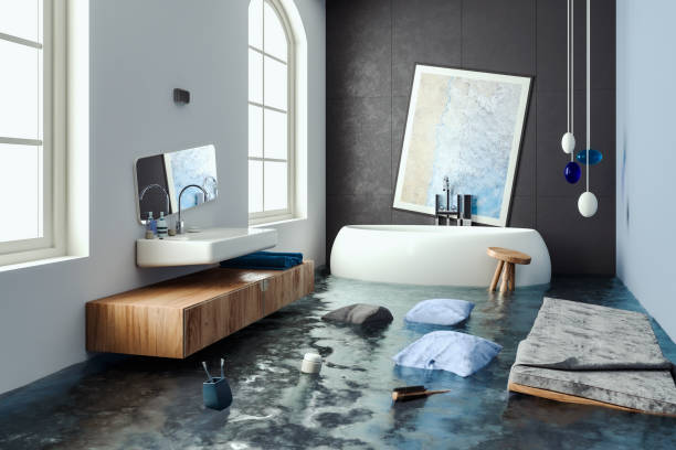 Best Water damage repair service  in San Ysidro, NM