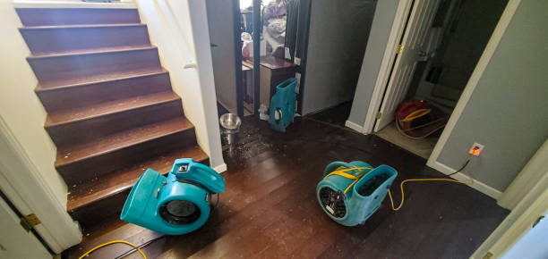 Best Sewage cleanup and water damage restoration  in San Ysidro, NM