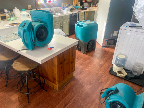 Best Ceiling water damage repair  in San Ysidro, NM