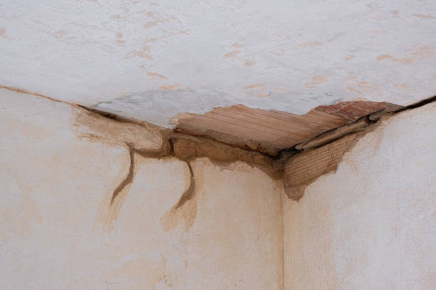 Best Water damage cleanup near me  in San Ysidro, NM