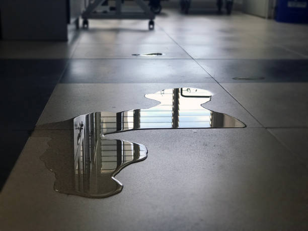 Best Water damage contractors near me  in San Ysidro, NM