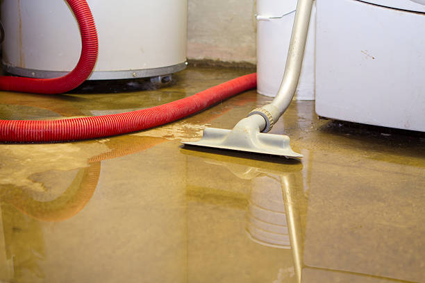 Best Local water damage restoration  in San Ysidro, NM