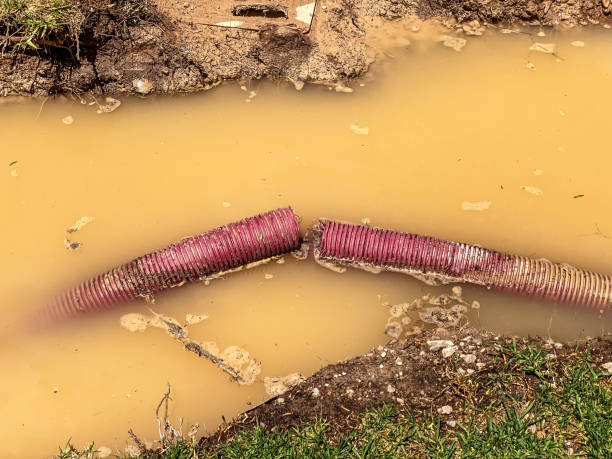 Best 24/7 water damage repair  in San Ysidro, NM